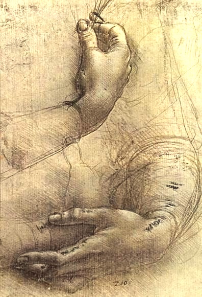 Study of Hands by Leonardo da Vinci