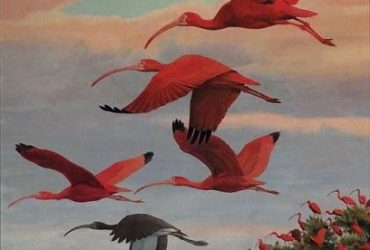 Arthur Singer - Flying Scarlet Ibis
